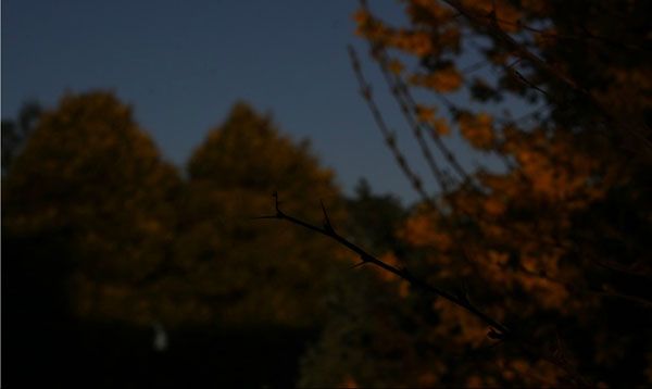 Диафрагма f/16